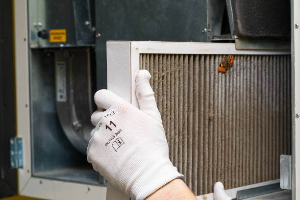 Best Affordable HVAC Duct Cleaning  in Shelby, MI